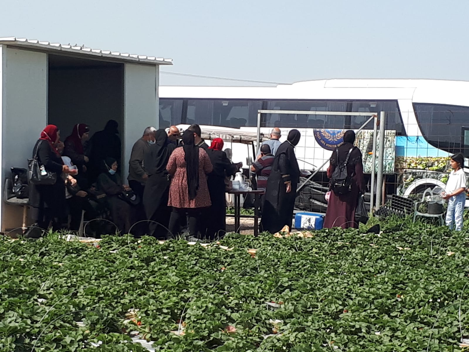 WhatsApp Image 2021-04-11 at 11.52.39 AM.jpeg